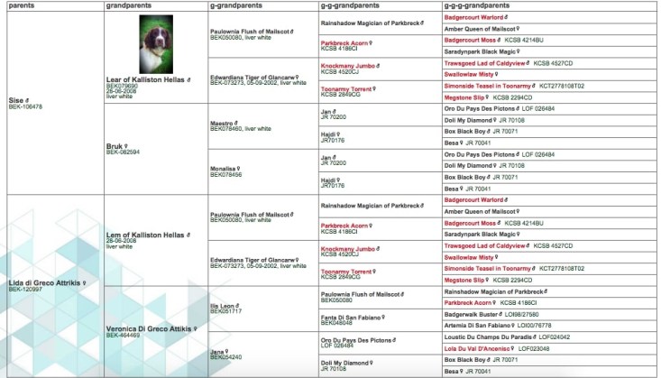 Screen Shot 2023-03-14 at 22.19.06